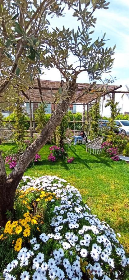 La Villa Degli Dei - Guest House Кастеламаре ди Стабия Екстериор снимка